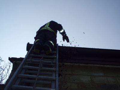 arbeitseinsatz-2012-04-14-011.jpg