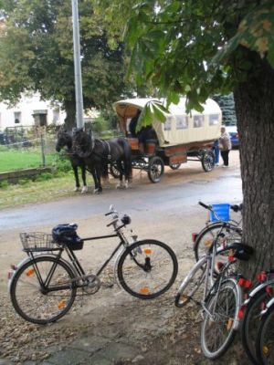 pferde_in_gerstewitz.jpg