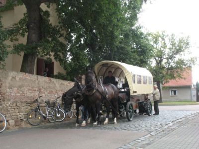pferde_vor_der_kirche_nellschuetz.jpg